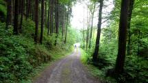  Wanderroute auf dem Gterweg Phra 